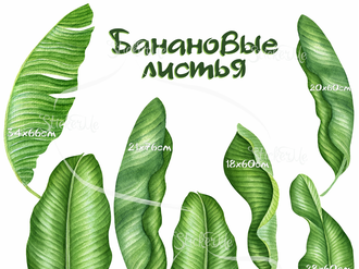"Банановые листья" малый набор