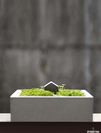 Мини клумба настольная