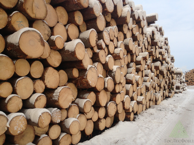 Пиловочник купить дешево