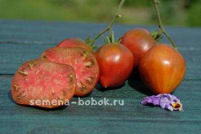 Томат Сердце Линнея (Linnaeus Heart), 10 шт