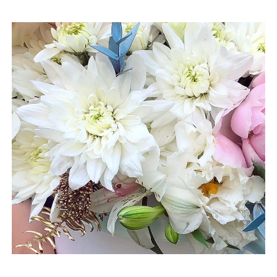 ХРИЗАНТЕМА КУСТОВАЯ