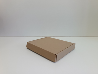 Коробка № 7 (247*208*38)