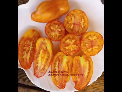 Томат Желтый огонь (Yellow fire, Желтое пламя)