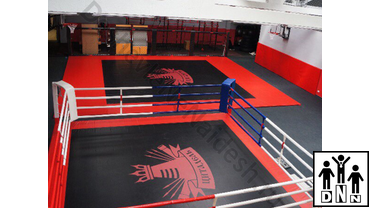 боксерский ринг размеры любительский