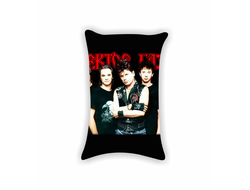 Подушка Сектор Газа, Юрий Хой №13