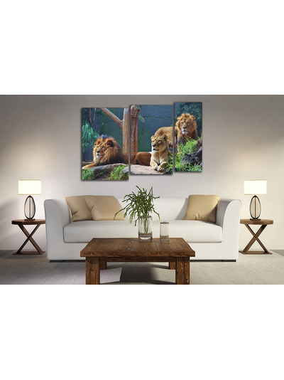 Модульная картина "Внимательные взгляды"