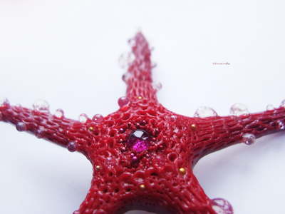 Морская брошь "Звезда ундины"