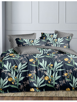 Постельное белье евро TANGO Dream Fly микросатин 200x220x1 220x245x1 50x70x2 DF03-475