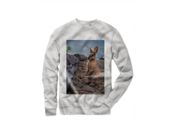 Свитшот год Кролика №6