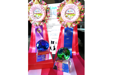 Невероятно красивые и необычные призы за победы - приятно!