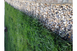 Облицовочные, монтажные работы с природным камнем. Благоустройство приусадебной территории. Малоэтажное строительство. Воплощаем идеи людей.