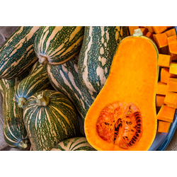 Тыква Барбара F1, 5 шт