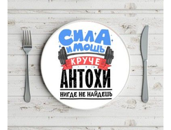 Тарелка #6 Антон