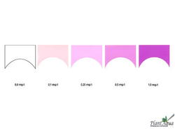 sera железо-тест (Fe)