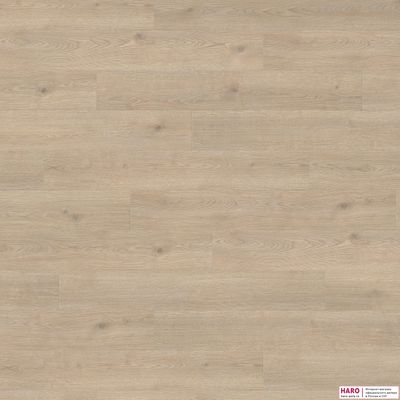 Декор ламината Haro Tritty 100 Дуб Контура Каменно-Серый 538696 фронт