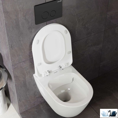 Чаша унитаза Creavit Terra TP329-11CB00E-0000 (TP329.00100), подвесная, безободковая