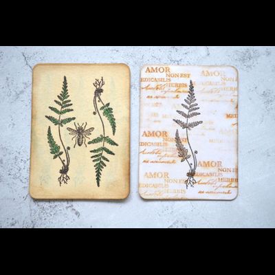 ФП  штамп "Папоротник серебристый"