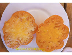 Томат Оранжевый гигант Дмитриева