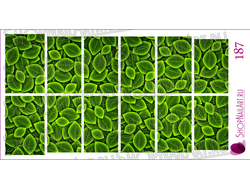 Слайдер дизайн 187 - Зелёные, сочные листья