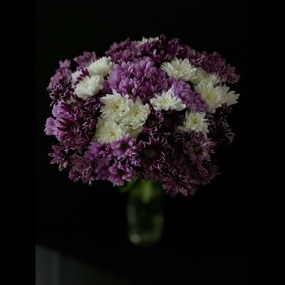 Хризантема кустовая микс 25 шт