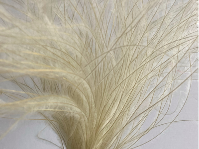 Ковыль светло=бежевый