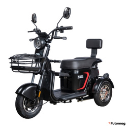 Пассажирский трицикл WHITE SIBERIA SIBTRIKE L 2000W