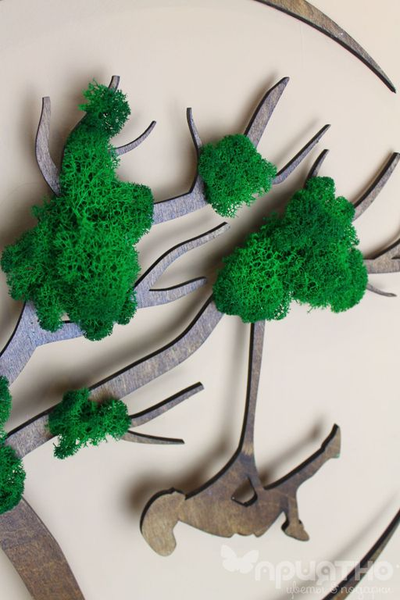 ЖИВАЯ ЭКО-КАРТИНА 1013