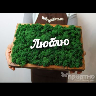 ЖИВАЯ ЭКО-КАРТИНА 1053