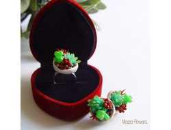 Комплект "Загадочные суккуленты". ЕСТЬ В НАЛИЧИИ.