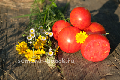 Томат Воловье сердце полосатое, 10 шт.