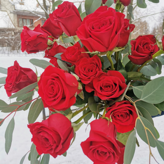 25 красных роз, 60 см.