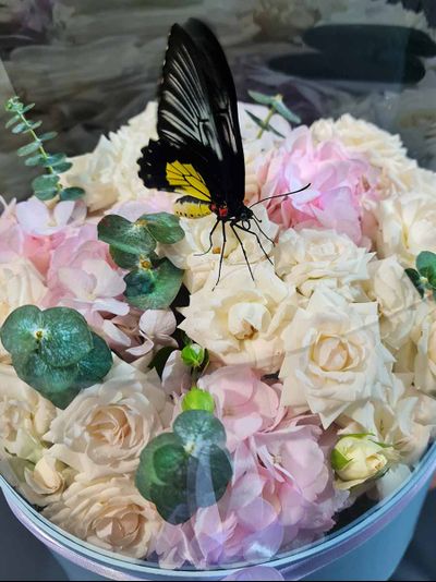 Букет из роз и гортензии №121 с бабочкой