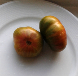 Семена томата Счастливый капитан