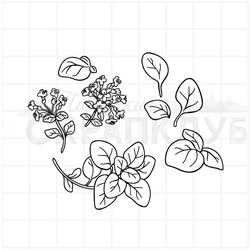 Штамп душица, орегано