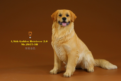 Золотистый ретривер (сидящий) - Коллекционная ФИГУРКА 1/6 scale Animal Model Golden Retriever 2.0 (MRZ057-3B) - Mr.Z