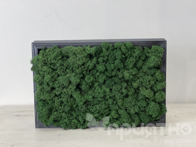 ЖИВАЯ ЭКО-КАРТИНА 1055