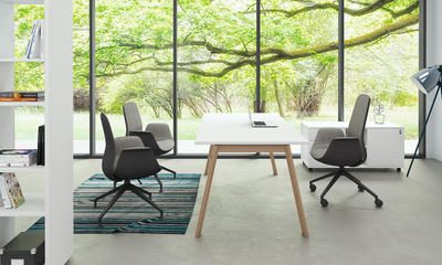 Кабинет эконом Artwood Executive