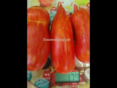 Томат Банан пестрый