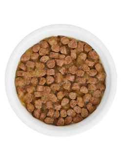 Florida (Флорида) влажный корм (пауч) для взрослых кошек, кусочки с курицей и клюквой в желе 85 г