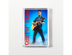 Магнит акриловый Сектор Газа, Юрий Хой №18