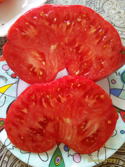 Томат Замок Шартр (усл)