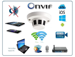 DE/GS-PRTFCMWAR(55) Видеоняня/Охранная IP WiFi(2.4/5.8)/LAN видеокамера с аудиоканалом (корпус датчика дыма), DVR. Full HD 2 Мп (CamHi/CamHi Pro)