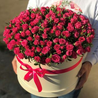 Большая кремовая коробка 51 кустовая роза с лентами