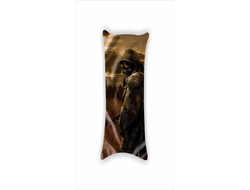 Дакимакура Stalker/ Сталкер №2