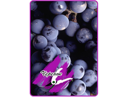 Ребо (черенок)*