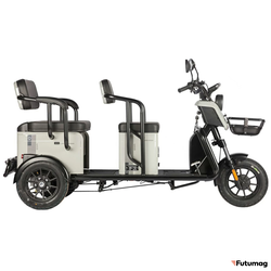 Электротрицикл Wanshida LC300 60V 1000Вт серый