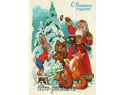 8143 Л Кузнецов 1977 г