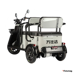 Электротрицикл Wanshida LC300 60V 1000Вт серый