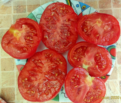 Томат Монте Роза (Monte Rosa)