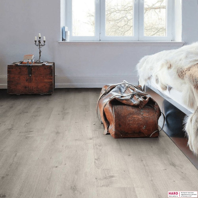 Декор ламината Haro Daily Edition Дуб Бреда Светло-серый 541344 в интерьере комнаты